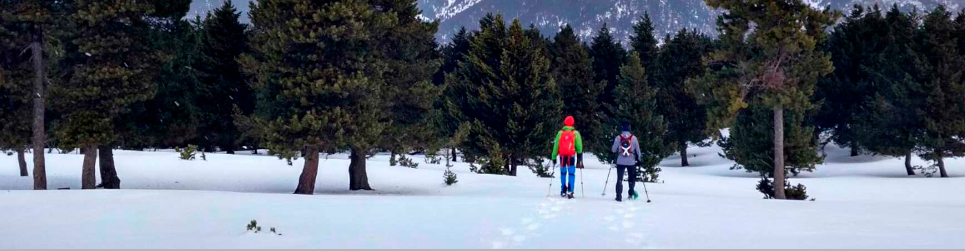 rutas y excursiones con raquetas de nieve en Rasos de Peguera