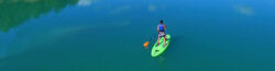 PADDLE SURF RENTAL