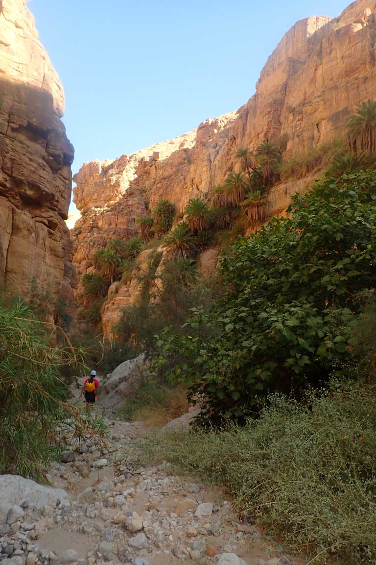 Wadi Karak