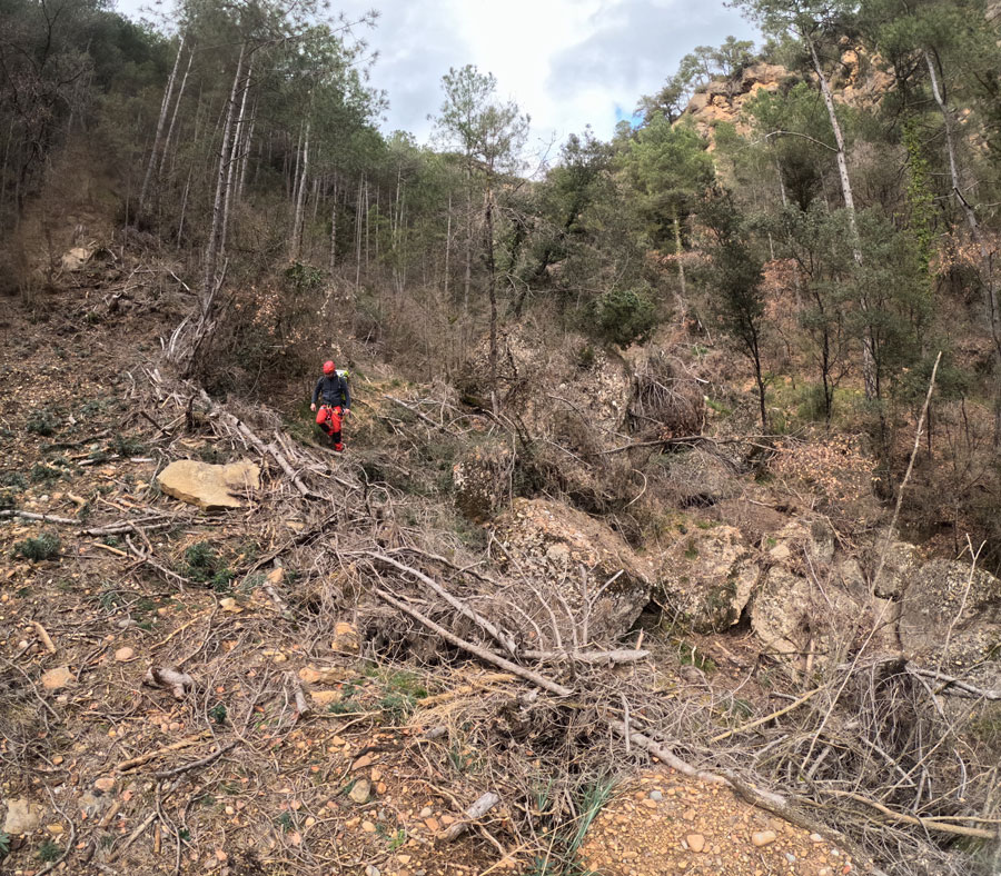Barranc Rasa de Capdevila Navès Lladurs Solsonès Lleida Catalunya