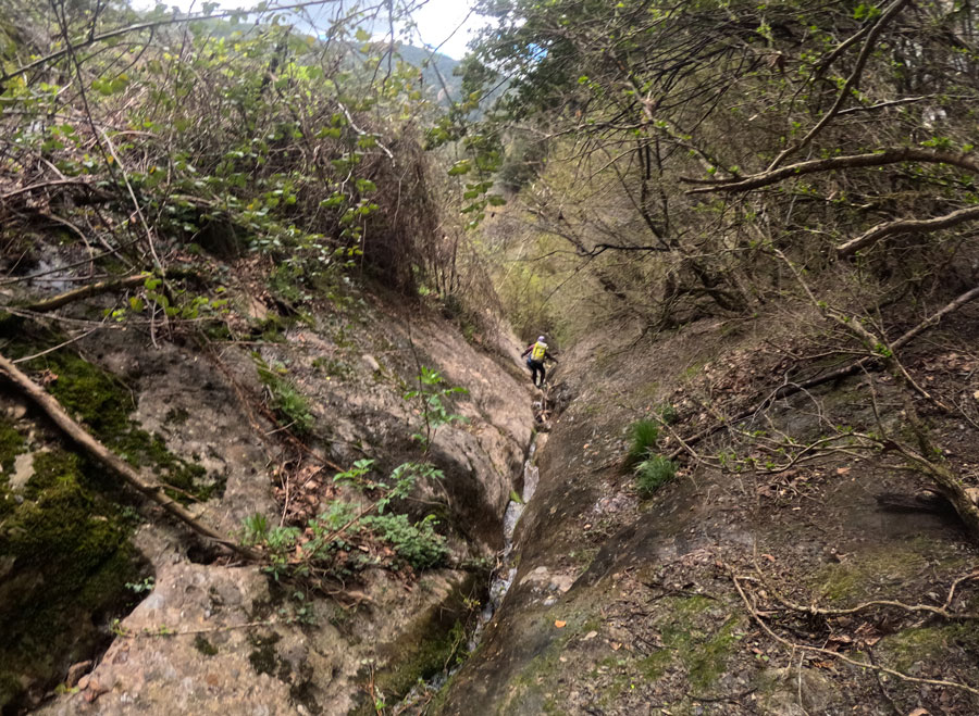 descens torrent Comallonga Comellongues Guixers Gósol Solsonès Bergueda Lleida Barcelona Catalunya